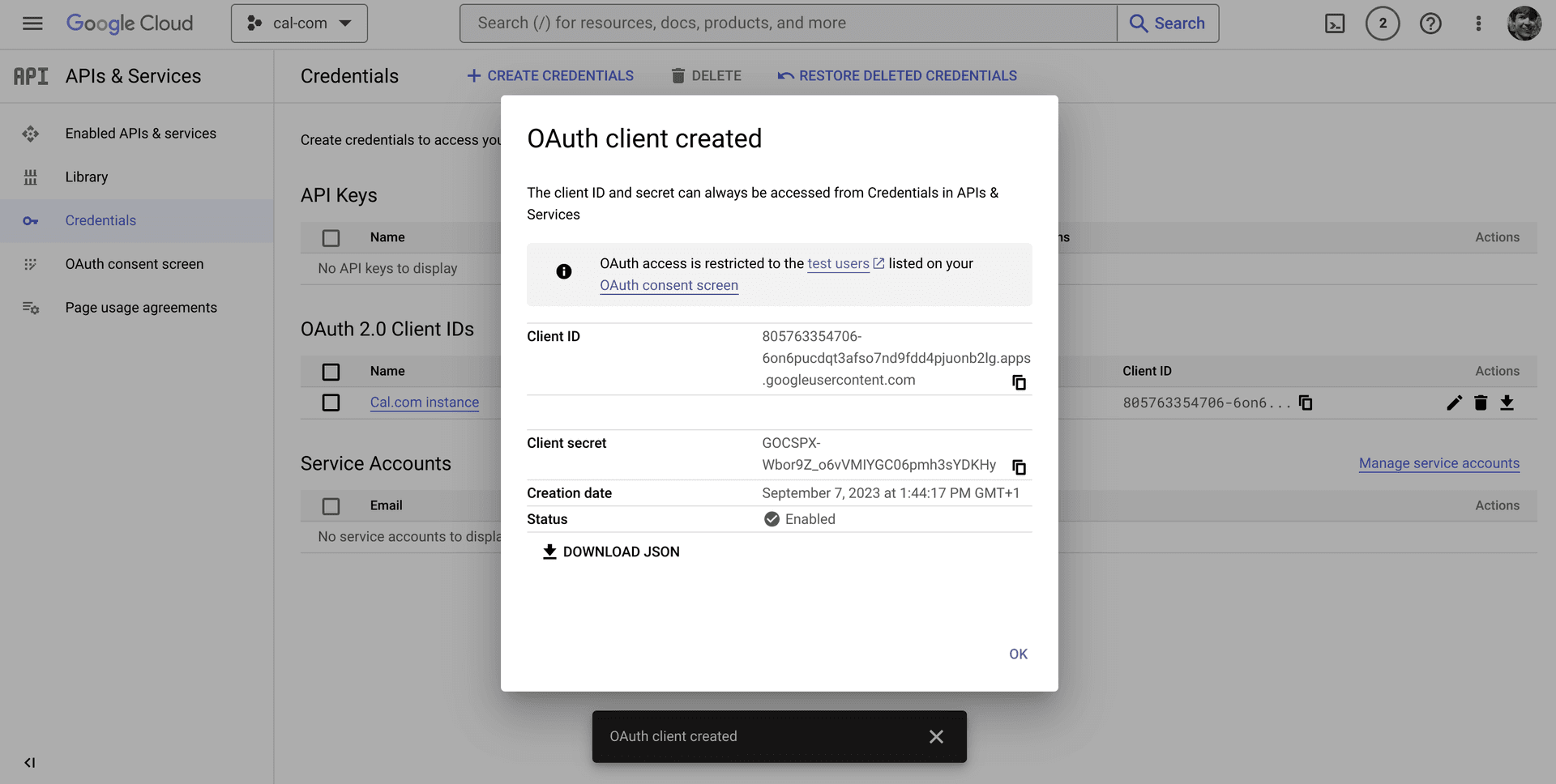 Google download credentials